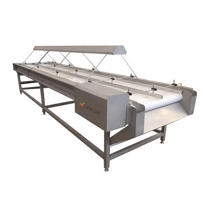 220v/ 380v de aço inoxidável 304 Nut Seleção de conveyor para máquina de triagem de passas