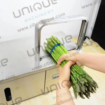 Máquina de agarrar fitas de plástico portátil de uso múltipla de fita vegetal