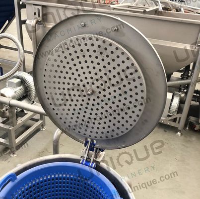 Tipos de processamento Máquina de lavar bolhas para a superfície de sabordamento e processamento de frutas