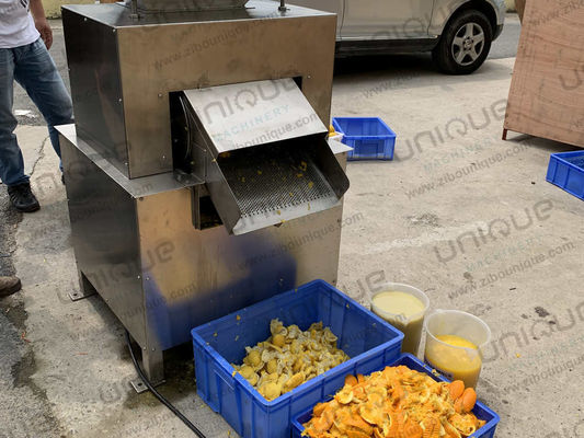 Máquina de produção de suco de manga