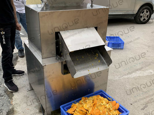 Máquina de produção de suco de manga