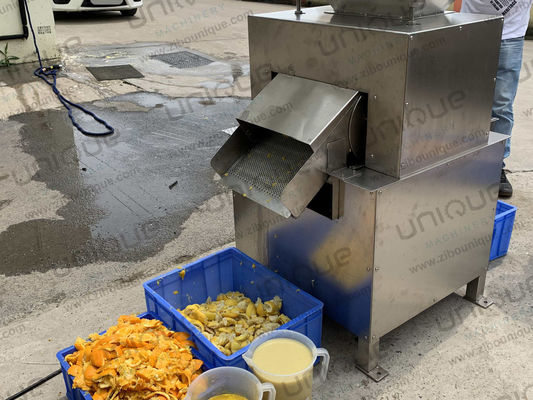 Extractor elétrico automático de frutas de aço inoxidável 304 para suco de tomate de abacaxi