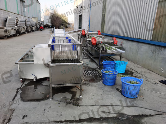 Máquina de remoção de casca e de descascagem de feijão de feijão