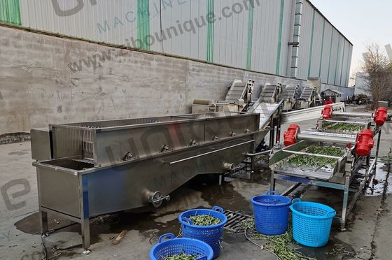 Design Máquina de lavagem de bolhas de vegetais para lojas de alimentos e bebidas