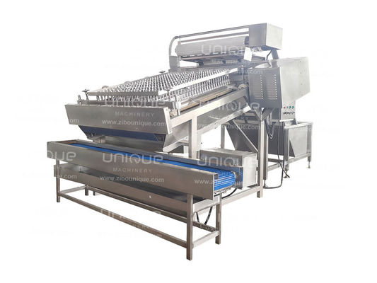 4kw Automático de cabeça de camarão Remover casca máquina de descascar transformar lojas de alimentos e bebidas