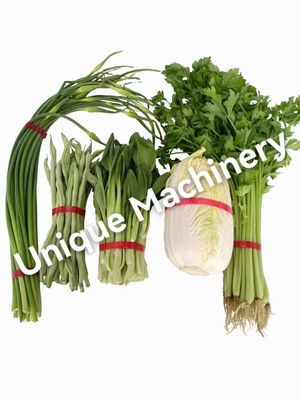 Comércio a retalho de celulose de vegetais de feijão-de-caju de uso múltipla