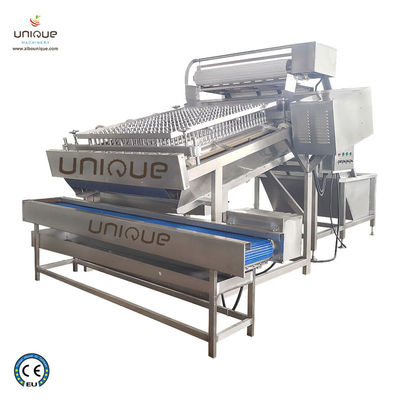 3600*2260*2200 mm Máquina automática de descascar camarão e frutos do mar para processamento rápido