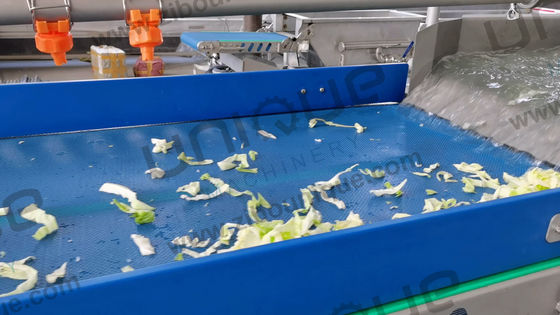 Linha de processamento de vegetais de folhas de salada Leve sua produção de salada para o próximo nível