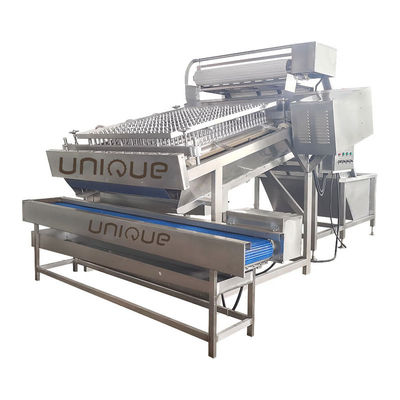 3600*2260*2200 mm Máquina de descascar camarão de aço inoxidável para limpeza rápida e de camarão