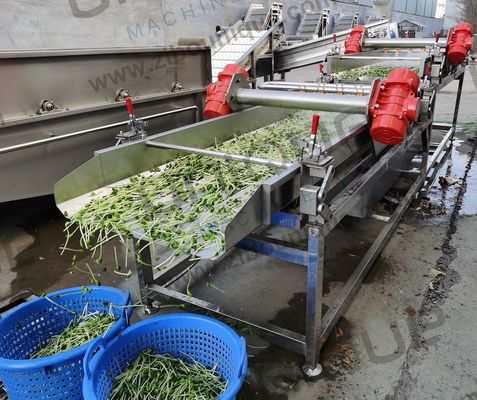 Máquina de remoção de casca e de descascagem de feijão de feijão