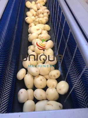 Máquina de limpeza de peeling de batatas elétrica
