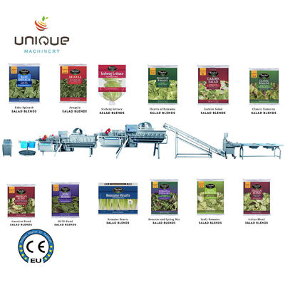 Linha de processamento de lavagem Helix de frutas e vegetais para aplicações comerciais
