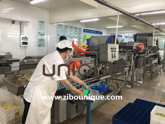 Utilização comercial Linha de lavagem de chá verde para processamento de folhas de chá do Mianmar de Zibounique