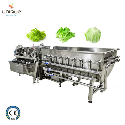 Linha de processamento de lavagem Helix de frutas e vegetais para aplicações comerciais