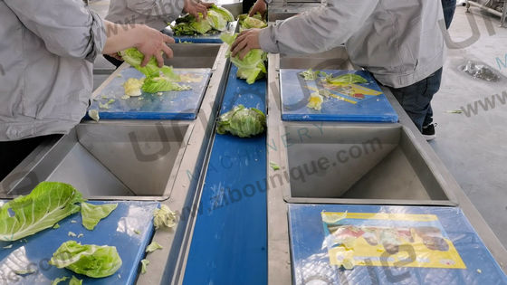 Linha de processamento de lavagem Helix de frutas e vegetais para aplicações comerciais