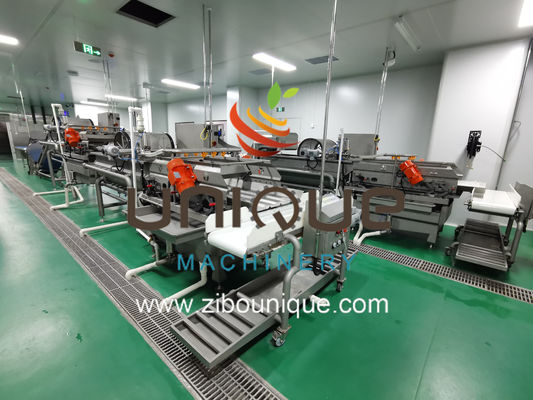 Linha de lavagem de salada de frutas e vegetais com eficiência de processamento de 5000 kg