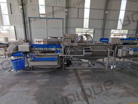Lojas de produtos alimentares e bebidas Produtos vegetais de folhas, espinafre para bebés Salada de vegetais Equipamento de máquinas de lavar roupa Fabricação