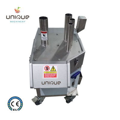 Máquina de produção de frutas e vegetais de aço inoxidável 304