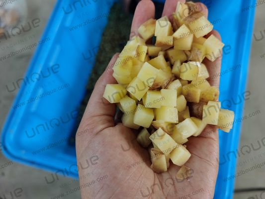 Máquina de corte de vegetais multifunção de aço inoxidável 304 para aplicações industriais