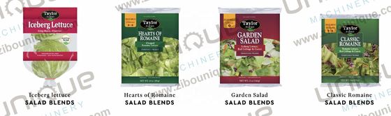 Máquina de lavagem de vegetais e frutas para limpeza completa