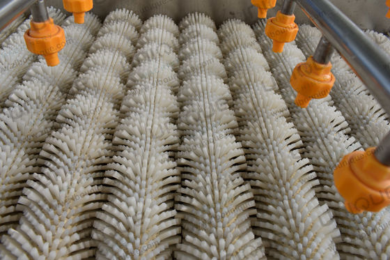 Função Lavar frutas e vegetais Máquina de lavar conchas de caranguejo para frutos do mar