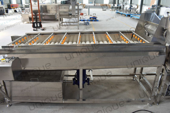 Máquina de limpeza de limpeza de frutas de pêra de 2021 com aço inox 304