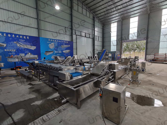 Máquina de lavar lavanderia de alta pressão Ginger Turmeric Taro Yam Malanga Spraying para limpeza