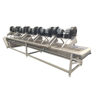 Cinturão de rolos de ar quente, transportador de malha, ventiladores de alta pressão, secador de ar para frutas e vegetais