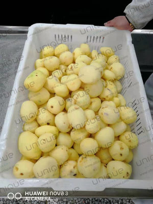 2022 Ano Máquina automática de lavar e descascar batatas para pequenas empresas