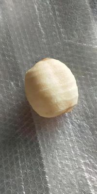 500 KG Máquina totalmente automática de descascar e descascar frutas industriais maçã pera kiwi para 2022