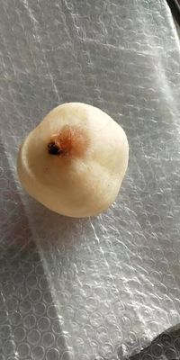 500 KG Máquina totalmente automática de descascar e descascar frutas industriais maçã pera kiwi para 2022