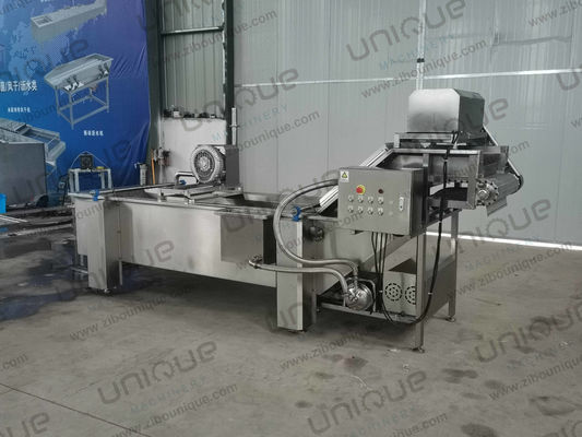 Linha de lavagem de bolhas de folhas de vegetais de 850 kg de capacidade para produção de plantas de fabricação