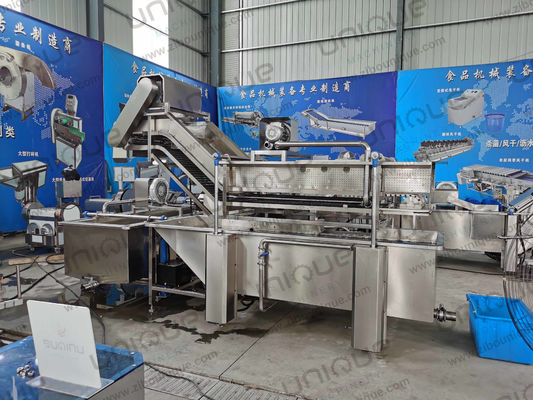 Linha de lavagem de bolhas de folhas de vegetais de 850 kg de capacidade para produção de plantas de fabricação