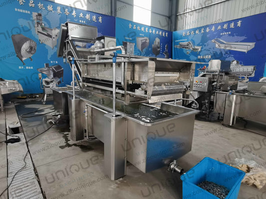 Linha de lavagem de bolhas de folhas de vegetais de 850 kg de capacidade para produção de plantas de fabricação