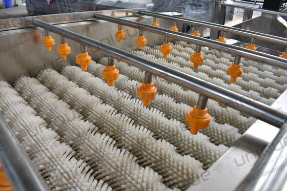 2.25 kw Lavadora de pincéis de hortelã de ostras para lavagem em grande escala de inhame e malanga