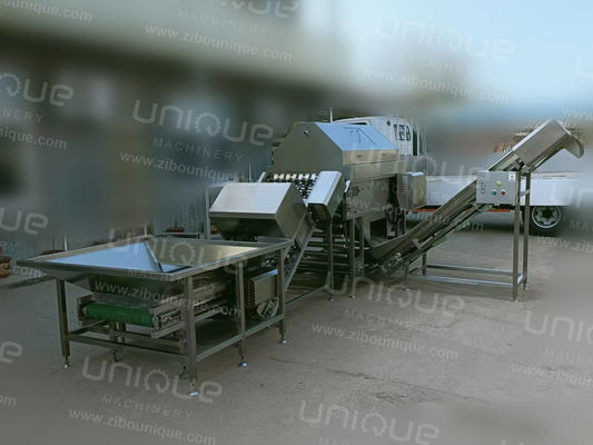 Máquina de descascar cebolas de aço inoxidável 304 industrial com potência de 3 kW e tensão de 380V