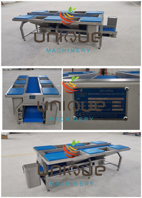 Tabela e transportadores de aço inoxidável para triagem de vegetais Tabela de preparação de vegetais 0,74 kW