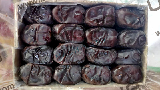 Utilização comercial Máquina automática de limpeza de escovas de tâmaras de palma com limpador de escovas macio