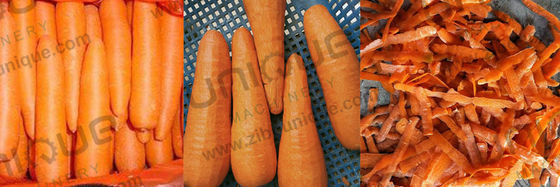 Máquina de processamento de cenoura para descascar a pele de cenoura 1930*500*1050 mm