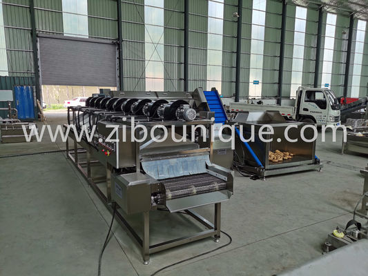 2023 Máquina de secagem a vento com ar quente para a desidratação de frutas e vegetais