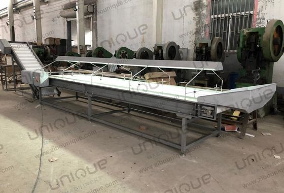 Plum Nuts Palm Dates Transportador de Inspeção Feito de 304 aço inoxidável para o seu benefício