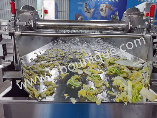 Máquina de lavagem de repolho de aço inoxidável de 4,4 kW para esterilização de vegetais e saladas