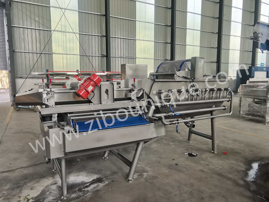 Máquina de lavagem de repolho de aço inoxidável de 4,4 kW para esterilização de vegetais e saladas