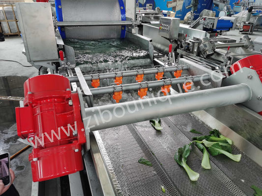 Máquina de lavagem de repolho de aço inoxidável de 4,4 kW para esterilização de vegetais e saladas