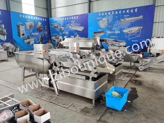 Máquina de lavar frutas e vegetais de qualidade profissional para produção em larga escala