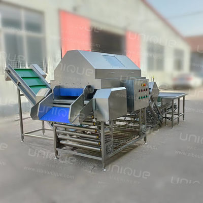Máquina de descascar cebolas para vegetais de raiz Equipamento industrial de descascar cebolas secas