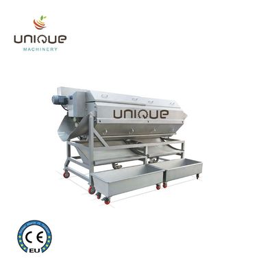 Linha automática de lavagem de espárrago de vegetais com sumo de frutas e legumes