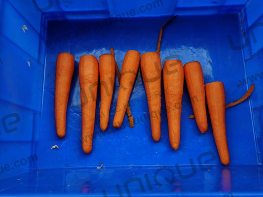 Máquina de peeling de aço inoxidável 304 para vegetais de raiz como batata, cenoura e rabanete