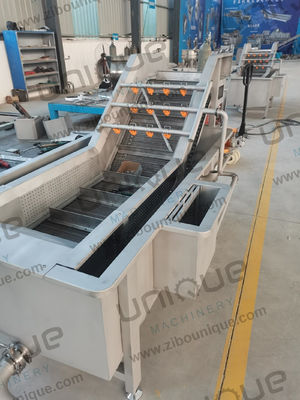 5000x1450x1400 mm máquina de lavar bolhas de vegetais para linha de limpeza de frutas e vegetais