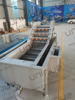 Linha de produção de alimentos congelados RQF Lavar, esterilizar e congelar numa solução